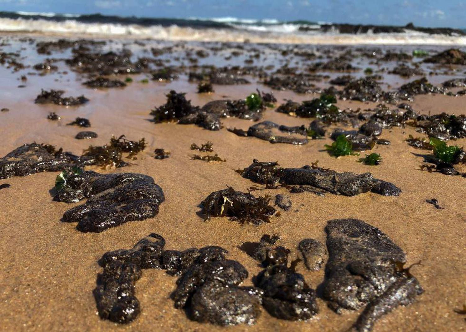 Manchas de óleo na praia da Pituba, em Salvador.