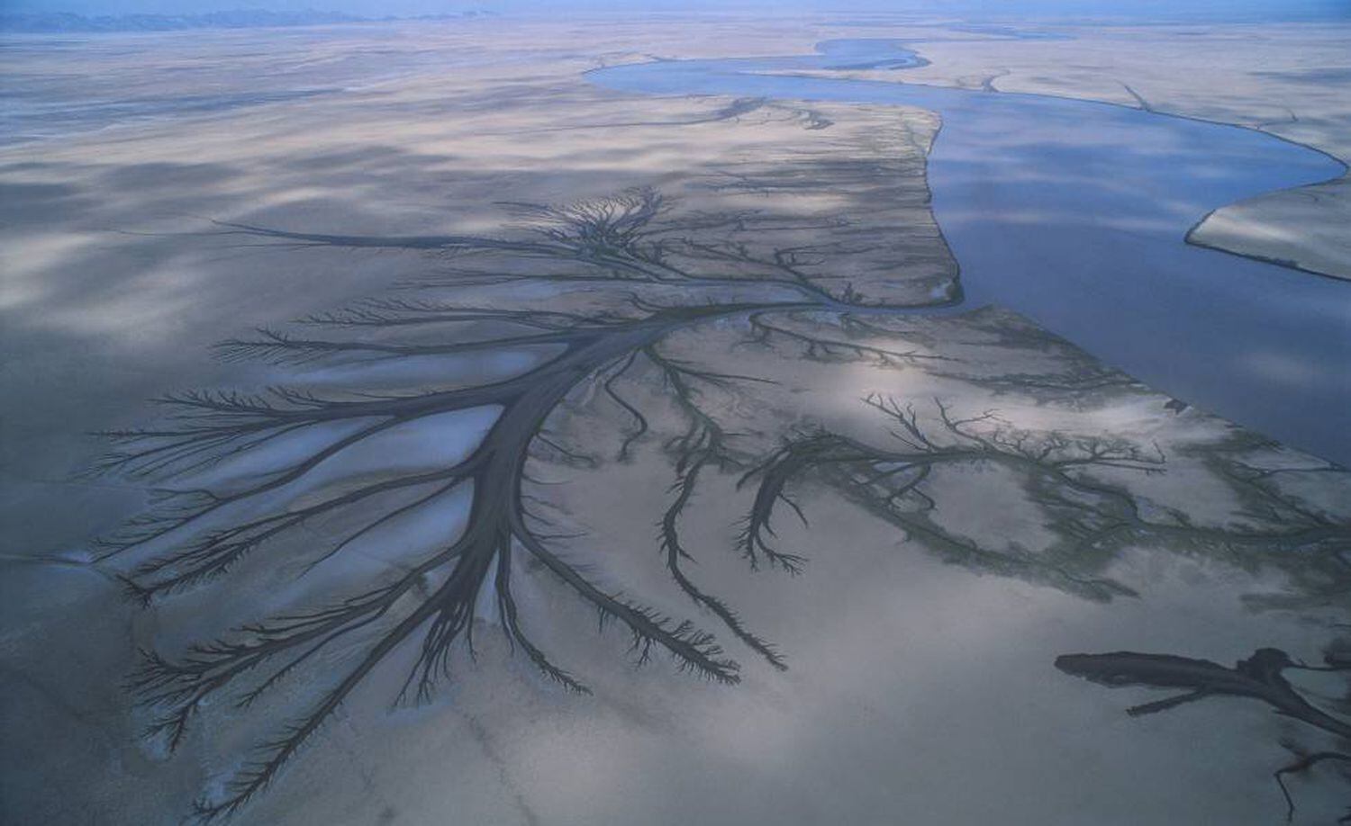 O delta do rio Colorado, na reserva da biosfera do Alto Golfo da Califórnia (México)