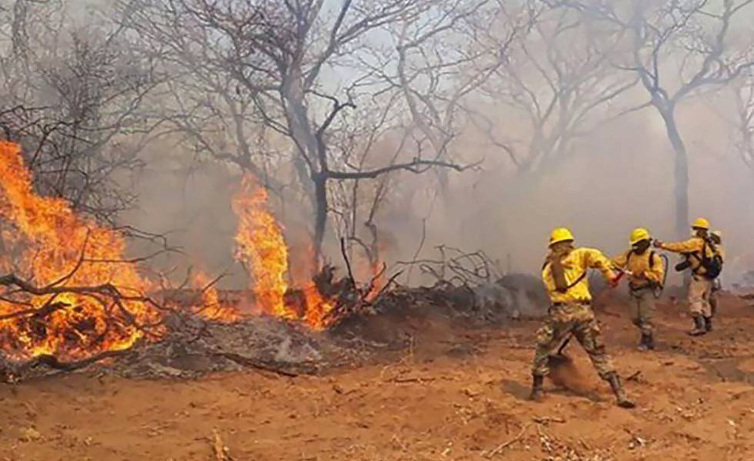 Bombeiros combatem o incÃªndio que arrasou com centenas de hectares de floresta.