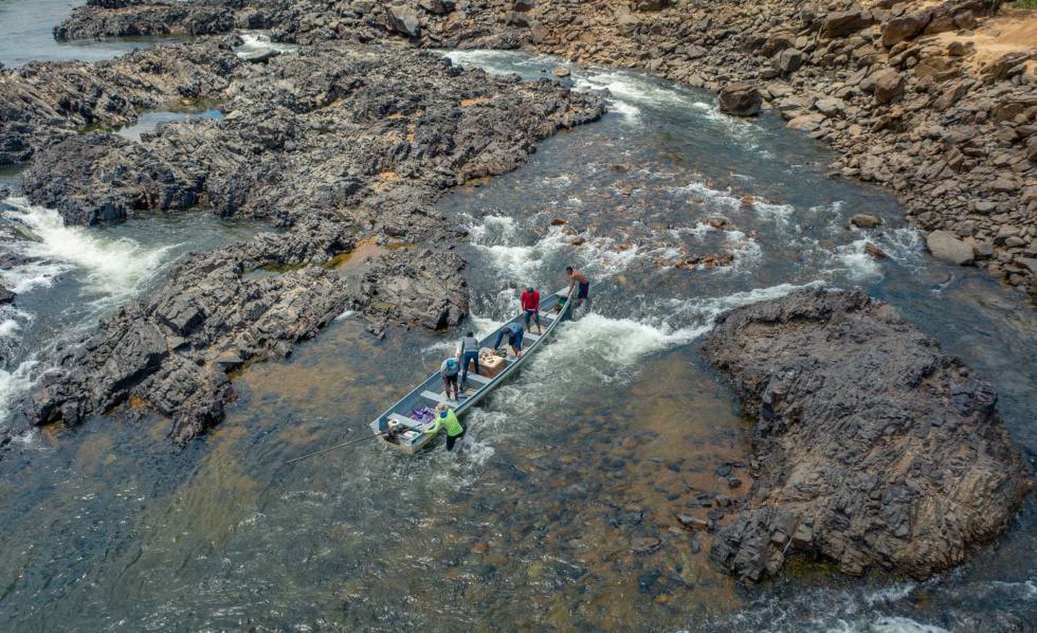 Na Volta Grande do Xingu, região mais afetada pela hidrelétrica de Belo Monte, a escassez de água tem causado a morte massiva de peixes, provocado insegurança alimentar de indígenas e ribeirinhos e impedido a mobilidade da população.