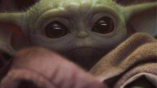 Baby Yoda.